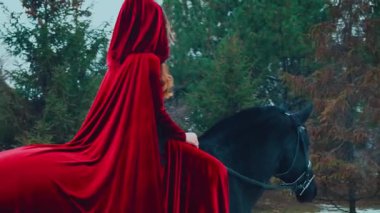Gürültülü video. Ortaçağ kırmızı elbiseli prensesi siyah atlı ata biner. Eski başlıklı kız binici, kadife pelerinli. Arkaplan yeşil ağaçlar orman kış doğası kar. Arka arkaplan