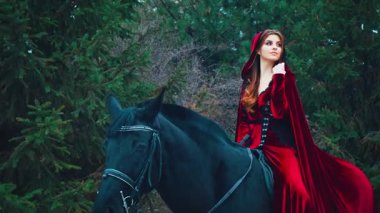 Klasik ortaçağ modası kıyafetleri içinde güzel bir fantezi kadın siyah ata biner. Mutlu kız neşesi doğanın tadını çıkarıyor. Kış ormanı, yeşil ladin. Kırmızı uzun kadife elbise. Pelerin, başlık. 
