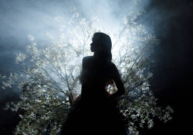 Gölge, siluet, fantezi kraliçesi tahtta oturuyor ilkbaharda çiçek açıyor ilahi ay ışığı, kara gece ışığı, sisli ağaç dalları, çiçekler. Gizemli seksi gotik kız sihirli duman dumanı.