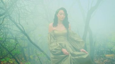 Kraliçe fantezi kadın gizemli sonbahar sisli ormanlarda karanlık ağaçlarda yürüyor. Yeşil yapraklar gotik ağaçların sisi. Ortaçağ prenses kızı yaz doğasının tadını çıkarıyor. sanat kraliyet klasiği uzun altın elbise kabarık kollar