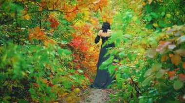 Kraliçe fantezi kadın sonbahar doğasında, ormanın derinliklerinde yürüyor. Yeşil sarı turuncu yapraklar yola döküldü. Prenses kız dikiz aynasından bakıyor. Kaliteli uzun gotik siyah elbise kabarık kollu. video 4k