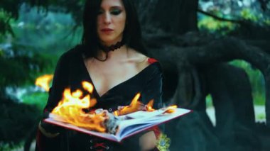 Fantezi kadın seksi cadı eski yanan kitabı elinde tutuyor, parlak alev ateşi, peri masalı gotik kız sihirli büyüyü okuyor. Cadılar bayramı için siyah kırmızı elbise. Karanlık orman ağacı. Kötülük yüzünde ışık