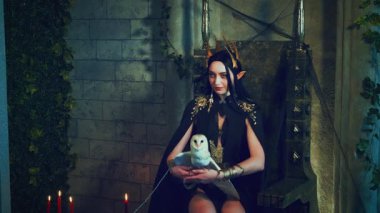 Portre sanatı fantazisi gotik kadın kraliçe tahtta oturuyor, beyaz ahır baykuşunu elinde tutuyor. Kuş kanatları uçup gider. Prenses kız seksi vampir, siyah elbise altın taç, eski tarz oda. Bayan Tanrıça.