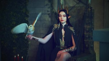 Portre fantezisi gotik kadın kraliçe tahtta oturuyor, beyaz ahır baykuşunu elinde tutuyor. Kuş kanat çırpar ve uçar. Prenses kız seksi vampir, karnaval kostümü, siyah elbise altın taç, eski tarz oda.