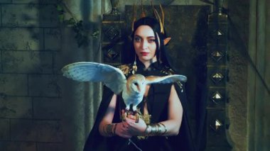 Portre sanatı fantazisi gotik kadın kraliçe tahtta oturuyor, beyaz ahır baykuşunu elinde tutuyor. Kuş kanatları. Prenses kız seksi vampir, siyah elbise altın taç, eski tarz oda. Şeytan kadın tanrıça.