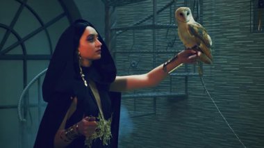 Portre fantazisi gotik kadın kraliçe eski tarz tuğla duvarlarda karanlık gece dumanlı odada, beyaz ahır baykuşunu elinde tutuyor. Prenses kız cadı seksi yüz, karnaval kostümü, siyah başlık