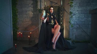 Portre fantezisi gotik kadın cadı tahtta oturuyor, beyaz ahır baykuşunu elinde tutuyor. Kuş bilgeliği hayvanı. Prenses kız seksi vampir kostümü, siyah elbise altın taç, eski tarz metal sandalye.