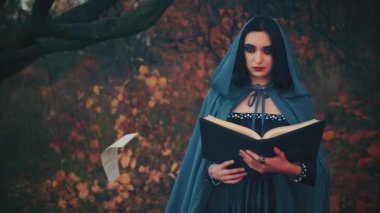 Fantezi kadın cadı elinde sihirli kitap, döküm büyüsü, sonbahar çarşafları havada asılı kağıt sayfası. Büyücü kız. Ortaçağ pelerinli mavi elbise sihirbazı kostümü. Şeytani seksi yüz.