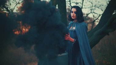 Ortaçağ fantezi cadısı, el sallama büyüsü. Sihirli siyah duman, fıçıdan çıkan sis. Bayan kraliçe kadife kadife uzun kaliteli elbise ipek pelerin. Sonbahar doğası. Karanlık gotik orman dalları. 