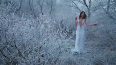 Video wiith sesi. Beyaz ve bej renkli uzun elbise. Fantezi kız manken karlı yolda yürüyor. Dondurucu doğa kış ormanlarında. Kış mevsiminde siyah ağaç silueti. Mutlu Kar Kraliçesi Kadın. Arka plan