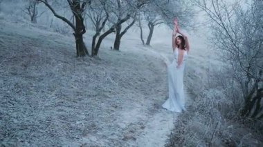 Video wiith sesi. Beyaz ve bej renkli uzun elbise. Dans eden fantezi prensesi. Moda mankeni Kar Kraliçesi dans ediyor. Soğuk doğa, kış ormanı sisi. Kır donunda siyah ağaç