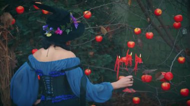 Arkadan bakıldığında, ortaçağ fantezi kadını yaşlı bir şamdanı elinde tutuyor mumlar yanıyor, balmumu. Mavi Vintage Cadılar Bayramı elbisesi giyen, siyah külah şapkalı bir kız. Arka plan doğa sonbahar ormanı, kırmızı meyve elmaları