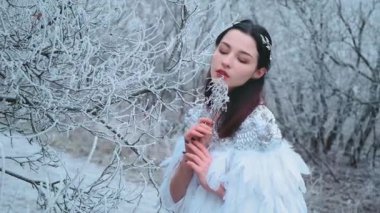 Donmuş buz dalı tutan üzgün, genç, güzel bir kadın peri. Esmer kız, kışın soğuk Noel ormanlarında sessizliğin tadını çıkarıyor. Güzel yüz, Kar Kraliçesi. Beyaz gelinlik, kuş tüyü pelerin. Gümüş taç