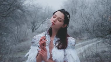 Dondurucu buz dalı tutan üzgün, genç, güzel, muhteşem kadın peri. Esmer, kışın soğuk Noel ormanlarını sessizliğe boğar. Gözlerini kapatır. Yaratıcı beyaz gelinlik, kuş tüyü pelerin. Gümüş taç