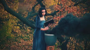 Mistik fantezi kadın cadı büyüler okuyor, antik kitap okuyor, sihirli iksir hazırlıyor. Kadın çağırır, eski bir fıçıya el hareketi yapar. Kalın siyah duman akıyor. Klasik karnaval kadife mavisi elbise. Sonbahar ağaçları