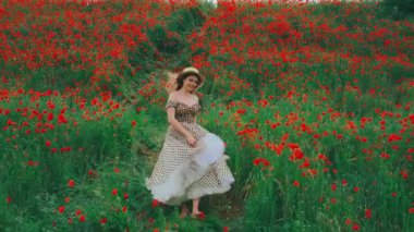 Eski moda Midi Puffy Polka puantiyeli genç bayan 1960 'ların tarzında giyiniyor. Yazın çiçek açan tarlada kırmızı gelincik çiçekleri yürür. Mutlu neşeli kız fantezi prensesi. Yaz doğası yeşili çimenler. 4k