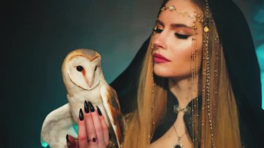 Fantezi gotik kadın sihirbaz, beyaz ahır baykuşu tutuyor. Cadı güzellik suratı dudaklar. Masal Kadını Elf Sarışın Seksi Kız. Karanlık oda mavi ışık sihirli duman. Siyah başlıklı kapüşonlu 