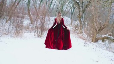 Tepenin yamacında ateş edildi. Fantezi mutlu kadın kraliçe kar altında kış ormanlarında yürüyor. Soğuk doğa, beyaz kar, ağaç gövdeleri. Kız prensesin dikiz aynasından. Eski, sıcak, kırmızı elbiseli bayan 4k