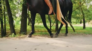 Seksi fantezi kadın at sırtında oturur, siyah at hayvanına biner. Peri kız elf vücudu çıplak ayakların yakın plan çekimi, patiler orman üzerinde yürüyen toynaklar vahşi yaz doğasının tadını çıkarıyor. 4k