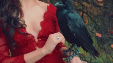 Dişi el dokunuşları büyük siyah kuzguna dokunur. Parmağında gümüş yüzük var. Hanımım kuşu tutuyor. Yüz kırkmadan ateş etmek. Kraliçe kadın imajı. Koyu yakalı, seksi göğüslü kırmızı elbise.