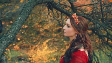 Yakın plan portre. Vezir kuşa gider. Şefkatle bakıyorum. Vahşi kuzgun, sonbahar ağacının dalında sarı yapraklarla oturuyor. Uzun kıvırcık saçlı. Altın kaplama takılar. Arka plan Şahane doğa