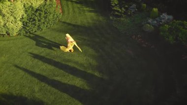 Parlak sarı elbiseli, trenli neşeli sarışın kadın parkta eğleniyor ve dönüyor. Kraliyet bahçesinde arka plan yeşili çimenler. Kumaş uçar, rüzgârda çırpınır. Hava Görünümü Kuruluyor.