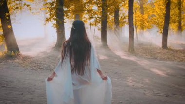 Fantezi kraliçesi sonbahar ormanı doğasında koşar. Uzun beyaz ipek elbise, kaliteli kumaş uçuyor. Sarı ağaç güneş ışınları parlak bir parlaklığa işaret ediyor. Arkadan bak. Peri yolu, yol. Dişi elf tanrıçası. 4k görüntü