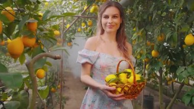 Sevimli, sevimli, güzel köylü kadın olgun, sulu, egzotik meyveler veriyor. Sarışın, uzun saçlı, elinde sepet sarmaşıkları olan bir kız. Yüzünde gülümseme. Arka plan, tropik limon bahçesi, sisli sis.
