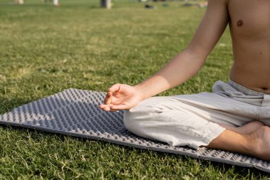 cropped view of shirtless man in linen pants showing gyan mudra gesture while meditating in easy pose on green lawn clipart