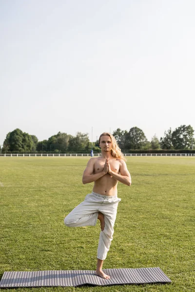 Piena lunghezza di uomo senza maglietta in pantaloni di lino in piedi in posa albero con gesto mudra anjali durante la pratica dello yoga in campo verde — Foto stock