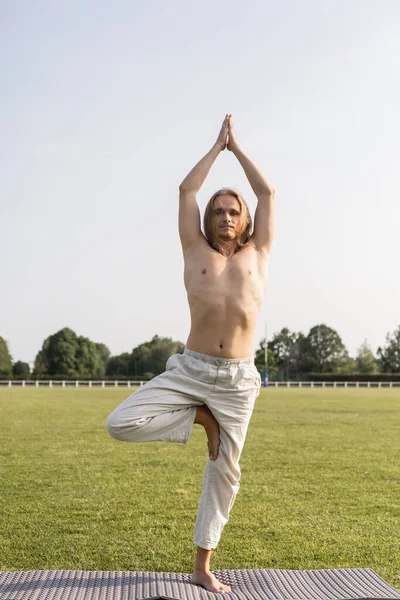 Homem de cabelos longos sem camisa em calças de linho meditando em pose de árvore com as mãos de oração levantadas no tapete de ioga ao ar livre — Fotografia de Stock