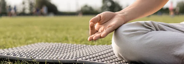 Vista ritagliata dell'uomo di yoga che medita e mostra il gesto del mudra gyan sul tappeto di yoga e sull'erba verde all'aperto, banner — Foto stock