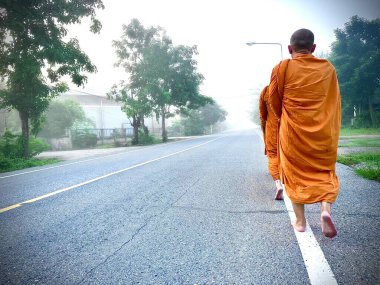 Lamphun Eyaleti, Tayland, 12 Kasım 2023: Sarı cübbe giyen Taylandlı keşiş grubu sabahları sadaka almak için manastır boyunca yol kenarında düz bir çizgi üzerinde yürüyorlar.. 