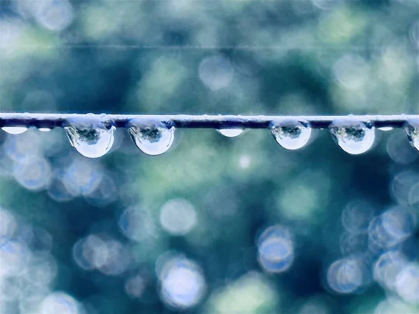 Feche Tiro Gotas Água Linha Roupas Depois Chover Manhã Brilhante — Fotografia de Stock