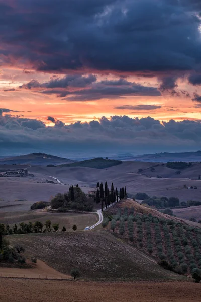 Bekende Toscaanse Landschap Met Graanvelden Cipressen Huizen Heuvels Bij Zonsondergang — Stockfoto