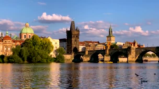 Карловий Міст Празі Прага Чехія Чарльз Брідж Англ Charles Bridge — стокове відео