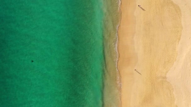 热带海滩鸟瞰 最高潮破落在热带黄沙沙滩上 海浪无缝地在美丽的沙滩上回旋 美丽的热带海滩空中 鸟瞰海浪 — 图库视频影像
