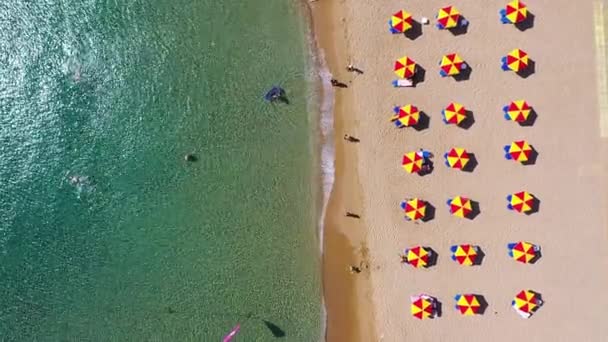 Yaz Tatili Kavramı Yukarıdan Manzara Plaj Şemsiyeleri Turkuaz Berrak Suyla — Stok video