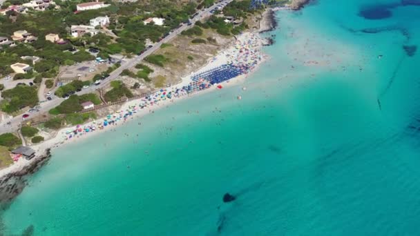 鸟瞰佩洛沙海滩 Spiaggia Della Pelosa Stintino Sardinia 意大利 意大利撒丁岛La Pelosa海滩 拉佩洛萨海滩 — 图库视频影像