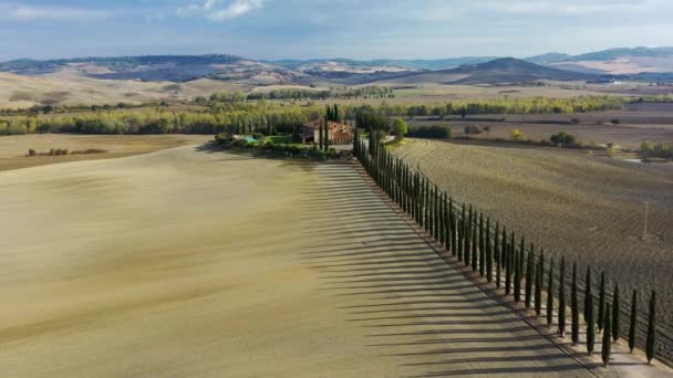 Paisagem Toscana Bem Conhecida Com Campos Cereais Ciprestes Casas Nas — Vídeo de Stock