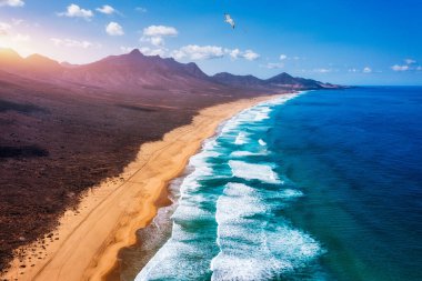 Uçsuz bucaksız ufku olan harika Coffee Plajı. Arka planda volkanik tepeler ve Atlantik Okyanusu. Coffee Beach, Fuerteventura, Kanarya Adaları, İspanya. Playa de Coffee, Fuerteventura, Kanarya Adaları.