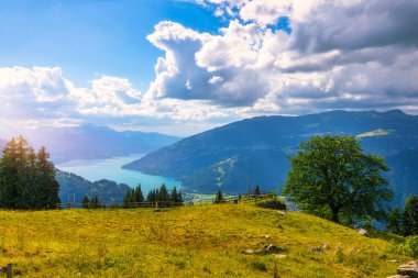 Bernese Oberland, Bern Kantonu 'ndaki Schynige Platte Yolu' ndan güzel Thun Gölü ve Brienz Gölü manzarası. İsviçre Alplerinde Schynige Platte adında popüler bir dağdır..
