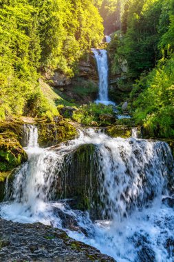 İsviçre, Bernese Oberland 'deki Giessbach Şelaleleri. Giessbach şelalesi Interlaken İsviçre 'deki Brienz Gölü' ne akar. Brienz Gölü 'ndeki Giessbach Şelalesi İsviçre' deki Bernese Oberland 'de..