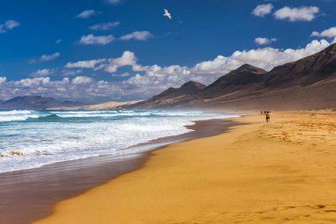 Uçsuz bucaksız ufku olan harika Coffee Plajı. Arka planda volkanik tepeler ve Atlantik Okyanusu. Coffee Beach, Fuerteventura, Kanarya Adaları, İspanya. Playa de Coffee, Fuerteventura, Kanarya Adaları.