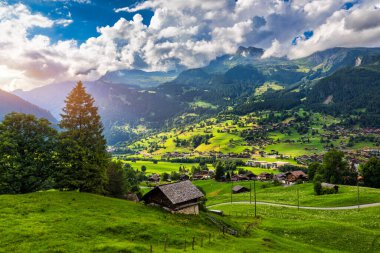 Grindelwald köy manzarası ve yaz İsviçre Alp Dağları manzarası, yeşil tarlalarda ahşap kireçler ve arka planda yüksek zirveler, İsviçre, Bernese Oberland, Avrupa.