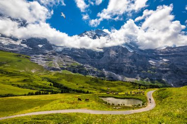 İsviçre 'nin güzel, güneşli bir yaz gününde yemyeşil çayırların açtığı Alpler' in panoramik manzarası. Yaz mevsiminde Alpler 'de çayırları olan İdilik dağ manzarası.