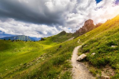 İsviçre Alplerinde Schynige Platte adında popüler bir dağ. Schynige Platte, Jungfrau bölgesi, İsviçre. Schynige Platte 'den Wetterhorn, Schreckhorn ve Eiger.