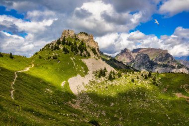 İsviçre Alplerinde Schynige Platte adında popüler bir dağ. Schynige Platte, Jungfrau bölgesi, İsviçre. Schynige Platte 'den Wetterhorn, Schreckhorn ve Eiger.