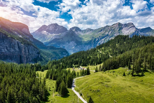 Panoramic View Idyllic Mountain Scenery Alps Fresh Green Meadows Bloom — Stock Photo, Image