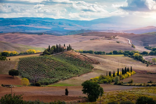 Bekende Toscaanse Landschap Met Graanvelden Cipressen Huizen Heuvels Bij Zonsondergang — Stockfoto